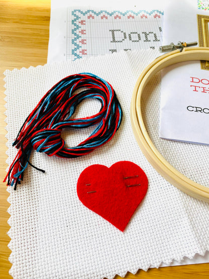 'Did you take your meds today?' cross stitch kit by Subversive Cross Stitch
