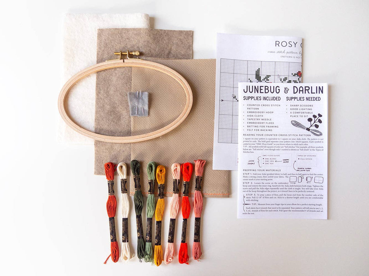Rosy Chaos Cross Stitch Kit by Junbug and Darlin