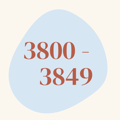 DMC Stranded Cotton Thread #3800-3849
