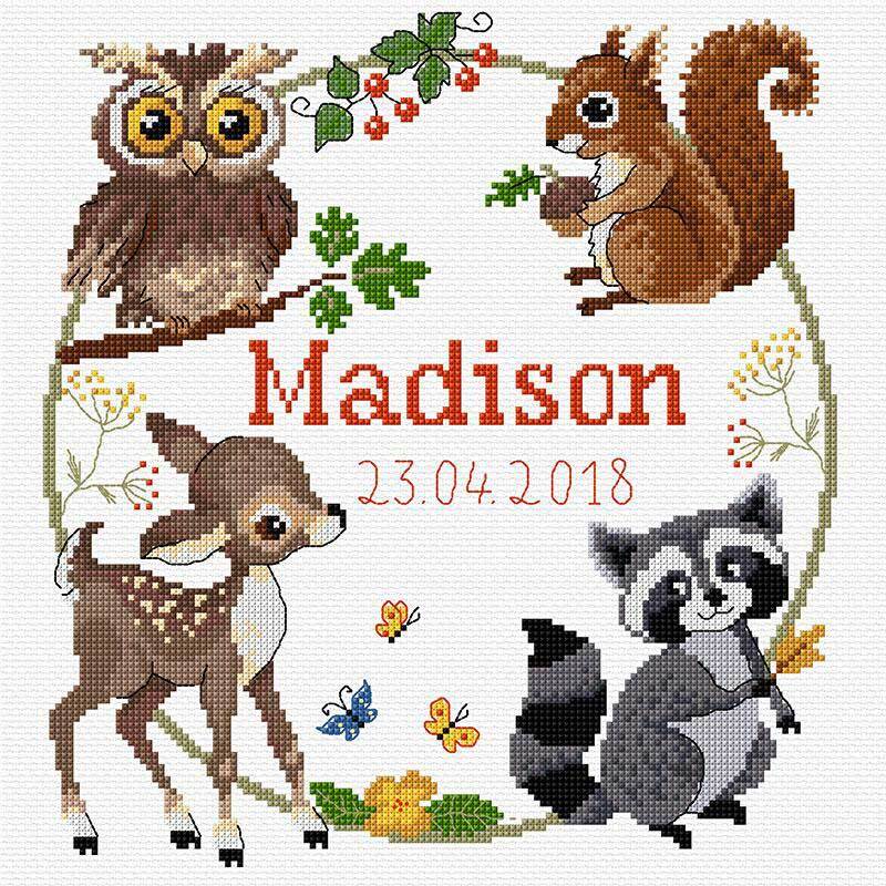 DMC Birth Sampler Cross Stitch Kit