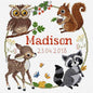 DMC Birth Sampler Cross Stitch Kit