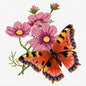 DMC Butterfly Cross Stitch Kit